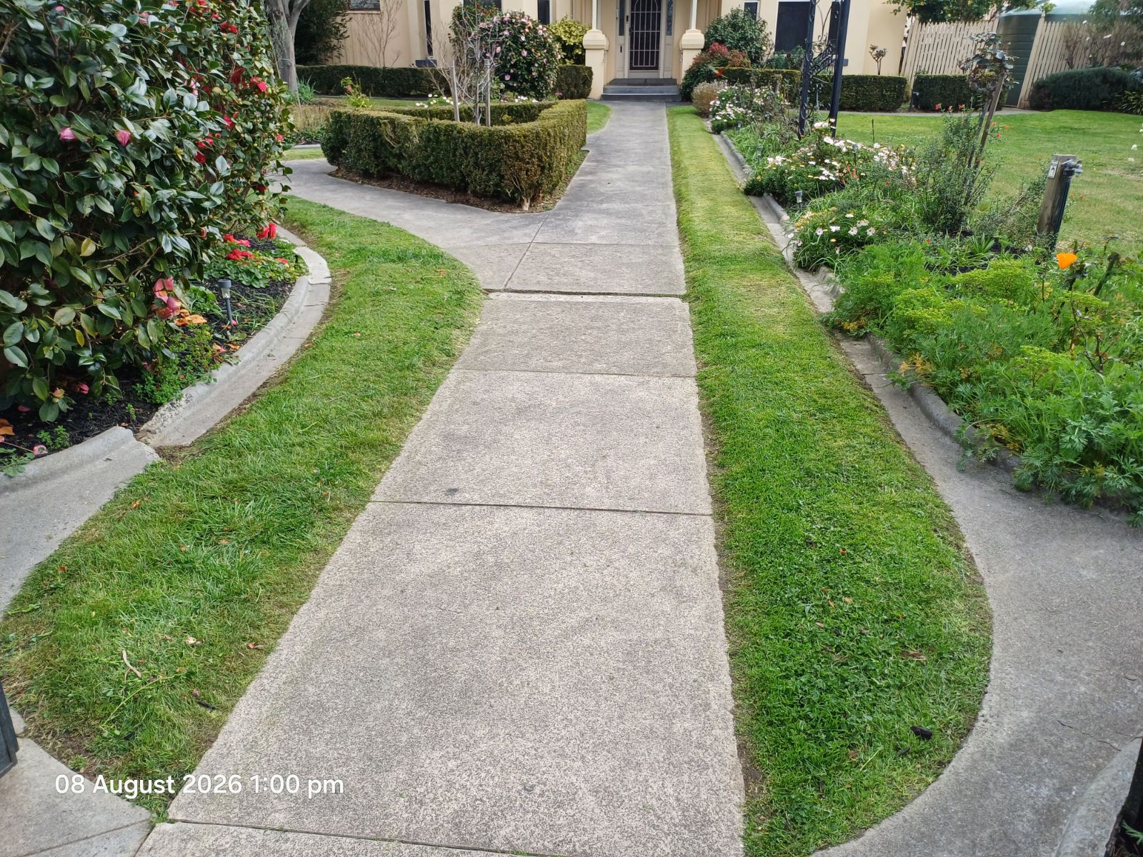 Freshly edged garden path and lawn