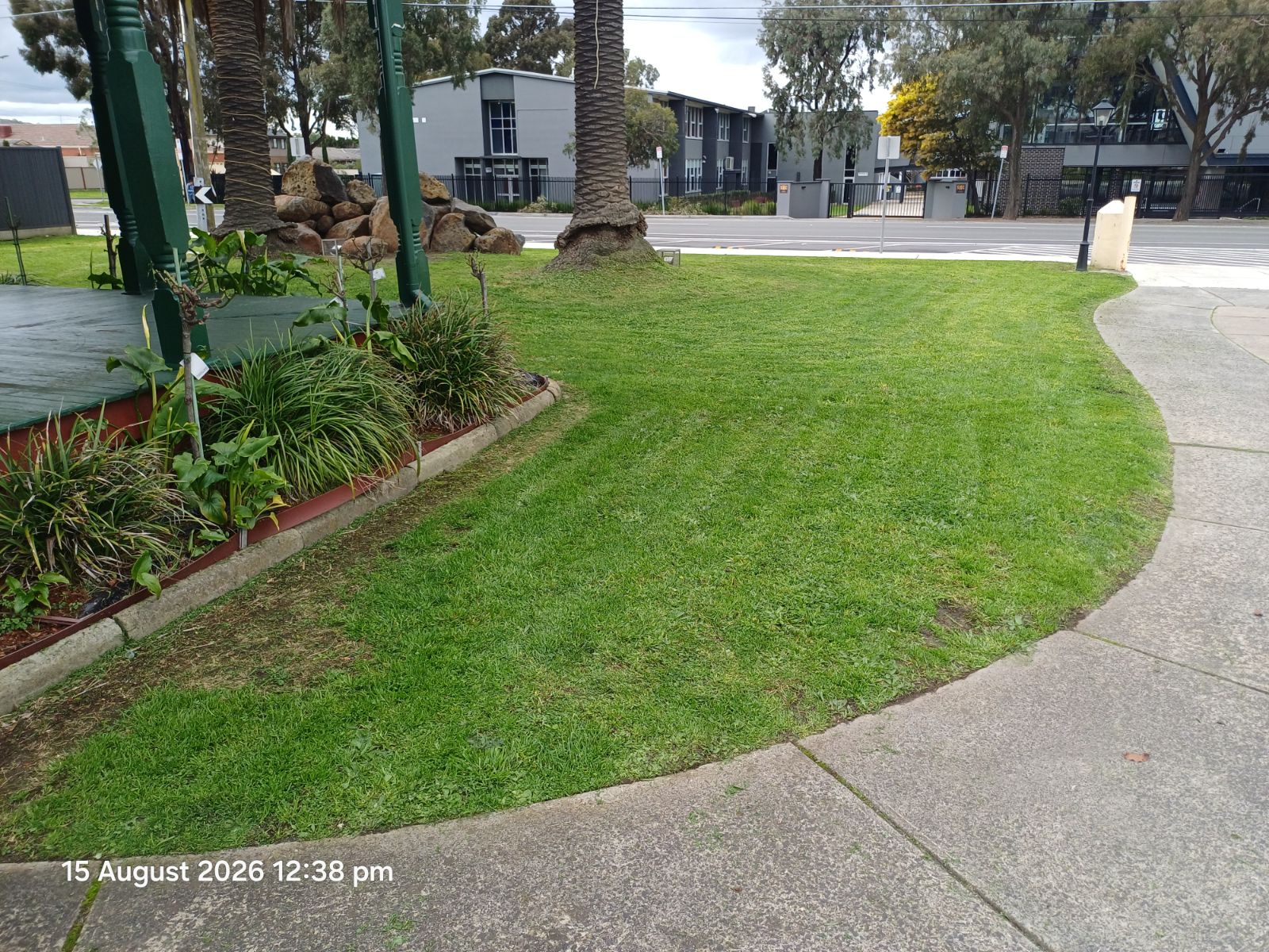 Freshly mowed park lawn
