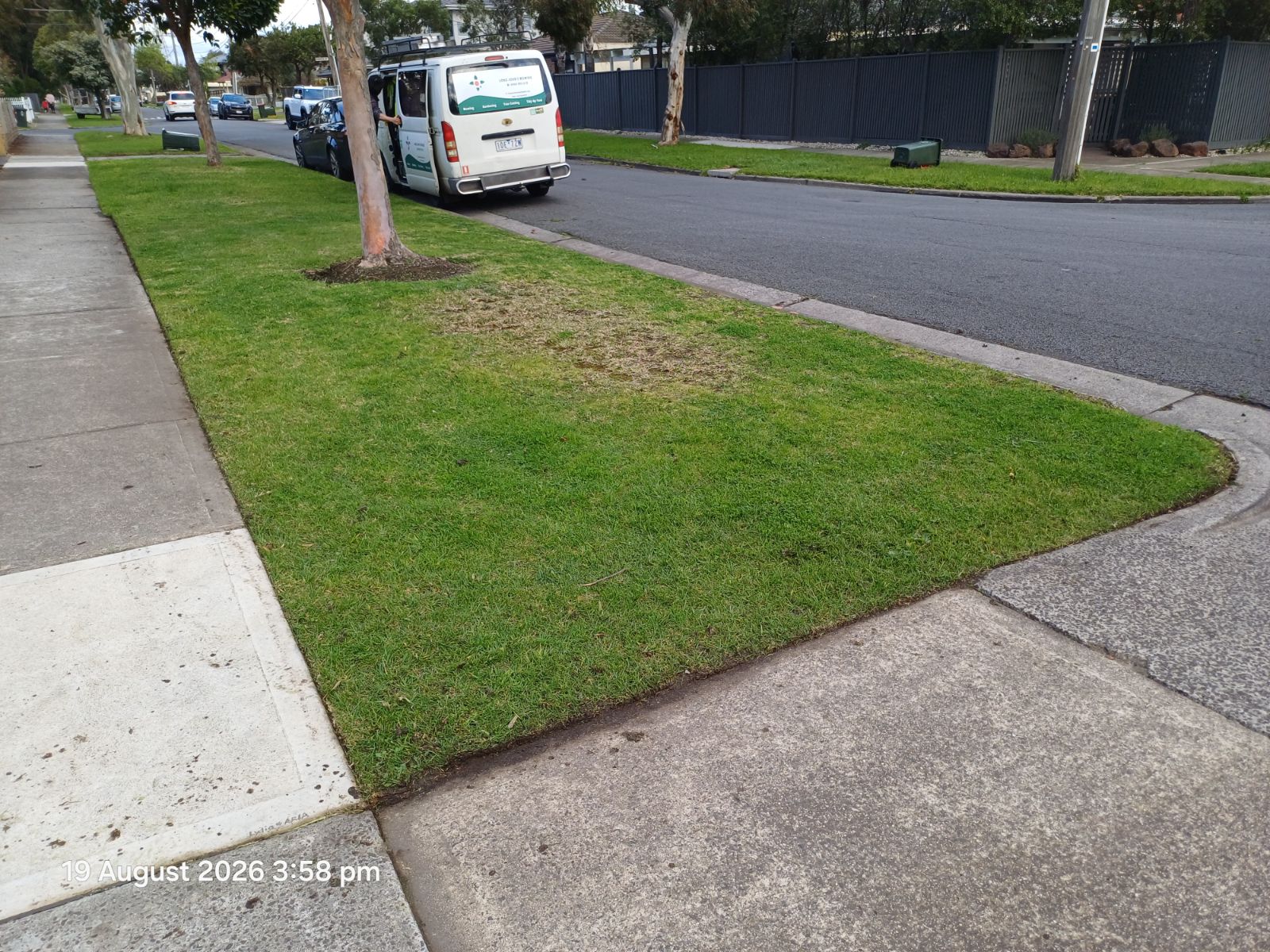 Freshly mowed nature strip