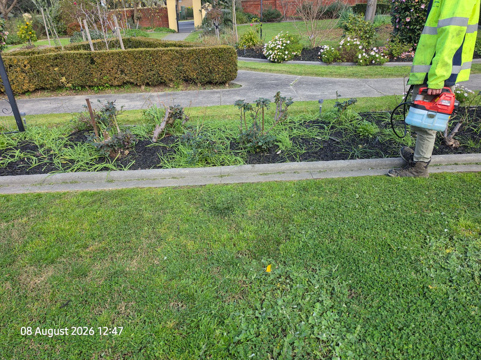 Garden bed maintenance in progress