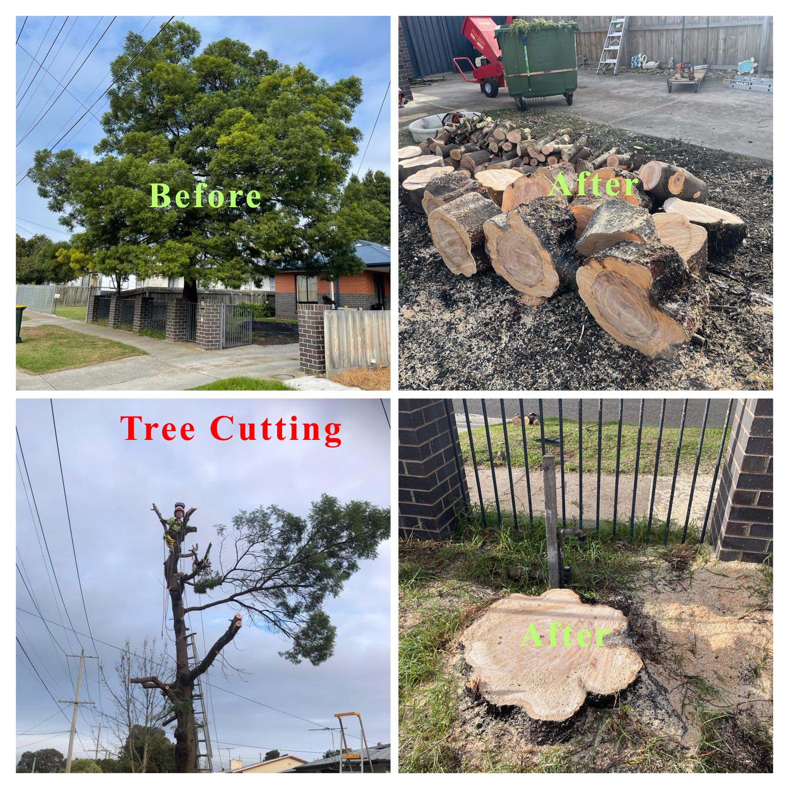 Before and after tree cutting and stump removal