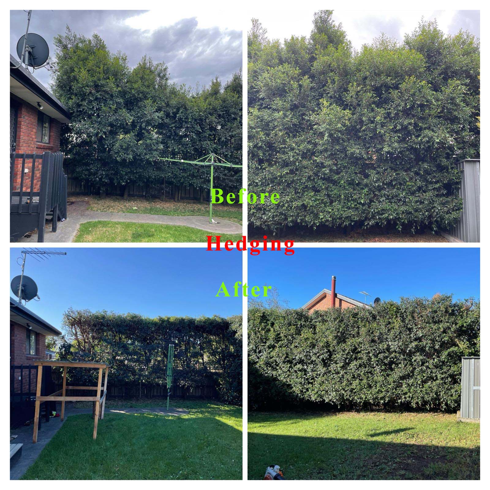 Before and after hedge trimming, two jobs